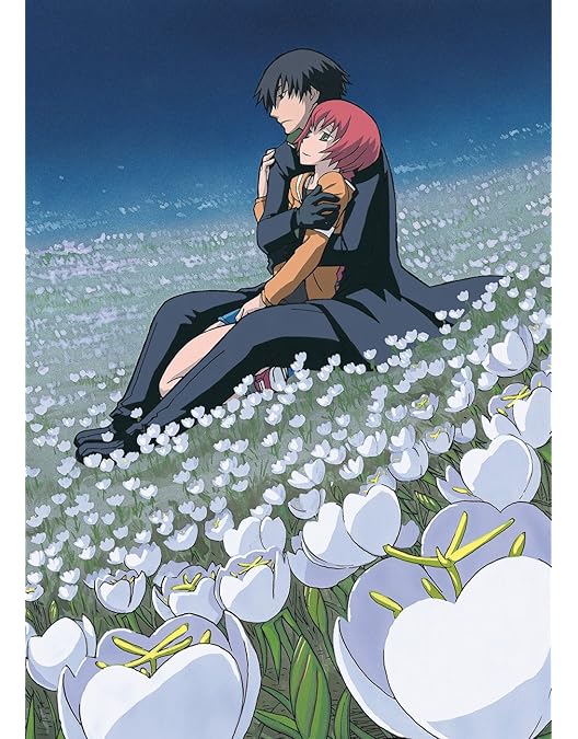 Amazon.co.jp: DARKER THAN BLACK -黒の契約者- 全9巻セット